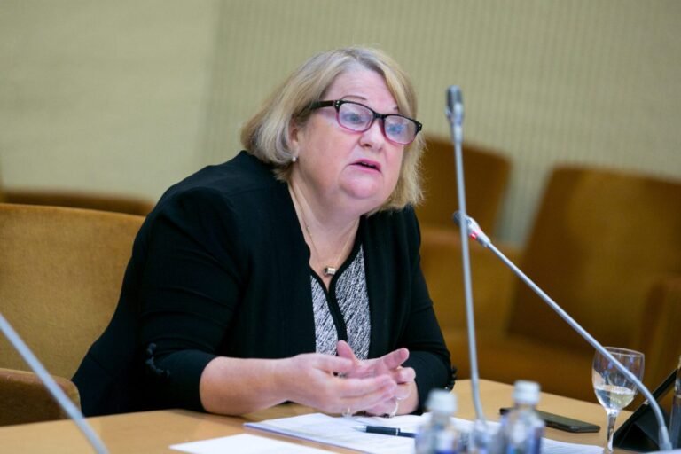 Prof. dr. Liudvika Meškauskaitė. Kodėl reikia prižiūrėti savo sieną feisbuke?