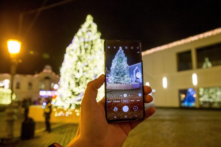 Padovanoti Klaipėdai gyvą Šv. Kalėdų eglę panoro rekordinis kandidatų skaičius
