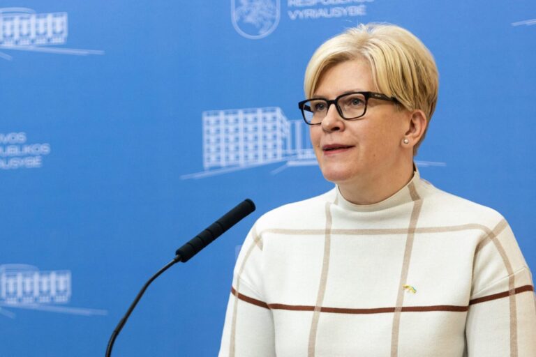 I. Šimonytė: Stambulo konvenciją reikia ratifikuoti dar šioje kadencijoje