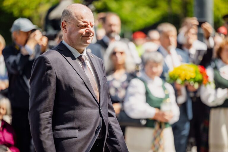 Seimo pirmininkas Saulius Skvernelis sako, kad Civilinės sąjungos įstatymo projektą turi paruošti vyriausybė