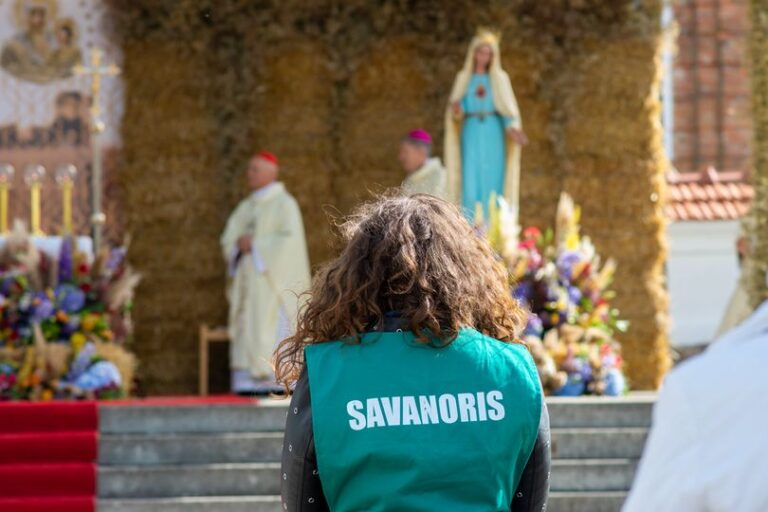 Vyriausybė siūlo atnaujinti įstatymą – tikisi paskatinti ilgalaikį savanoriavimą