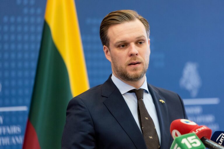 Gabrielius Landsbergis: ieškosime balsų vienalyčių partnerysčių priėmimui