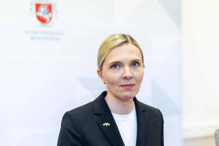 Seimas: valstybės tarnybos reforma prieštarauja Konstitucijai