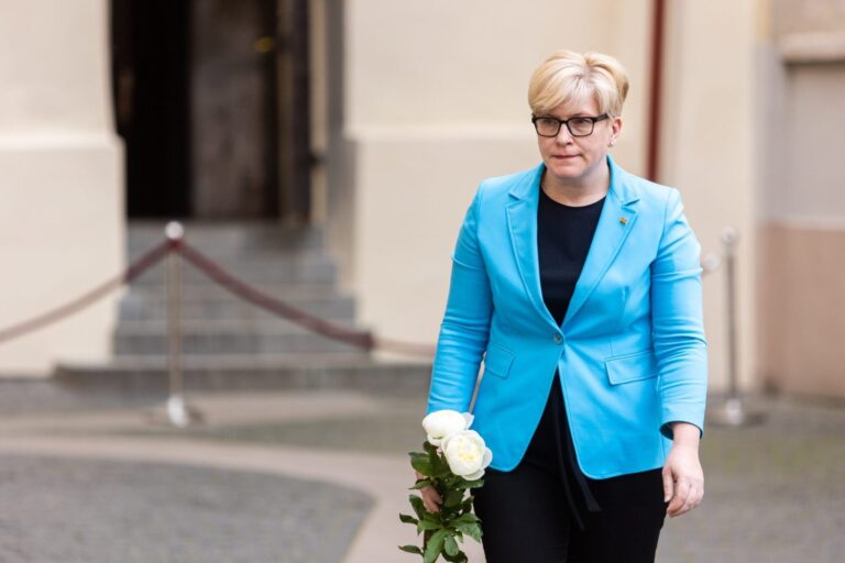 Valdantieji sieks įteisinti daugybinę pilietybę per 2024 m. rinkimus