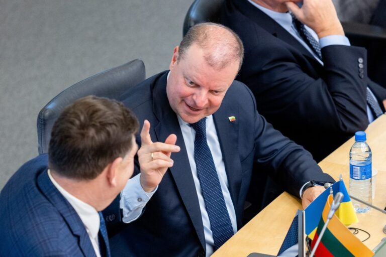S. Skvernelis: balsuodami už socialdemokratus pratęsite I. Šimonytės politiką