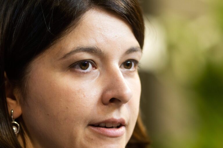 G. Skaistė: aštresnių klausimų dėl biudžeto nebėra, jis turėtų būti priimtas laiku