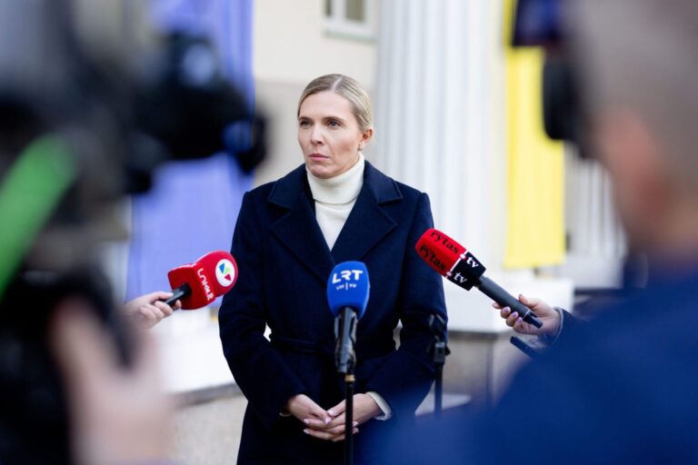 VRM siūlo griežtinti tvarką į Lietuvą atvykstantiems dirbti užsieniečiams
