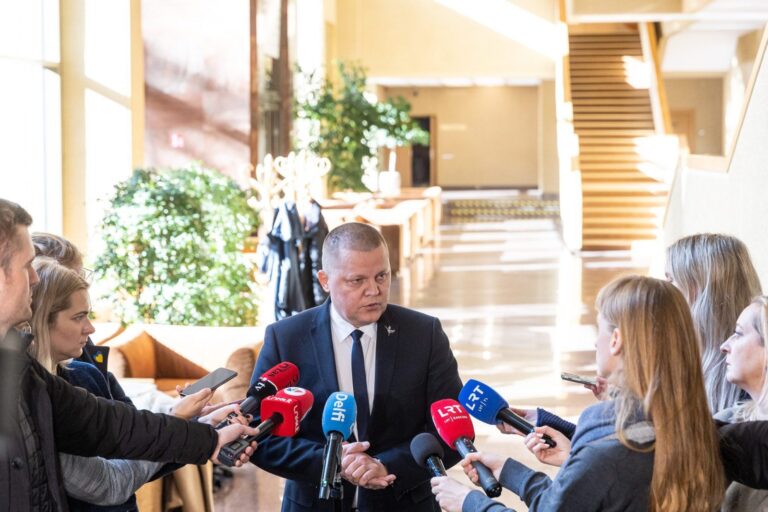 D. Gaižauskas: Nacionalinio saugumo ir gynybos komitetas stabdo posėdžius