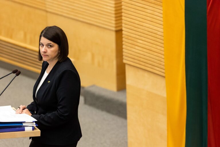Seimas antrą kartą apsvarstė 2024 metų valstybės biudžeto projektą 