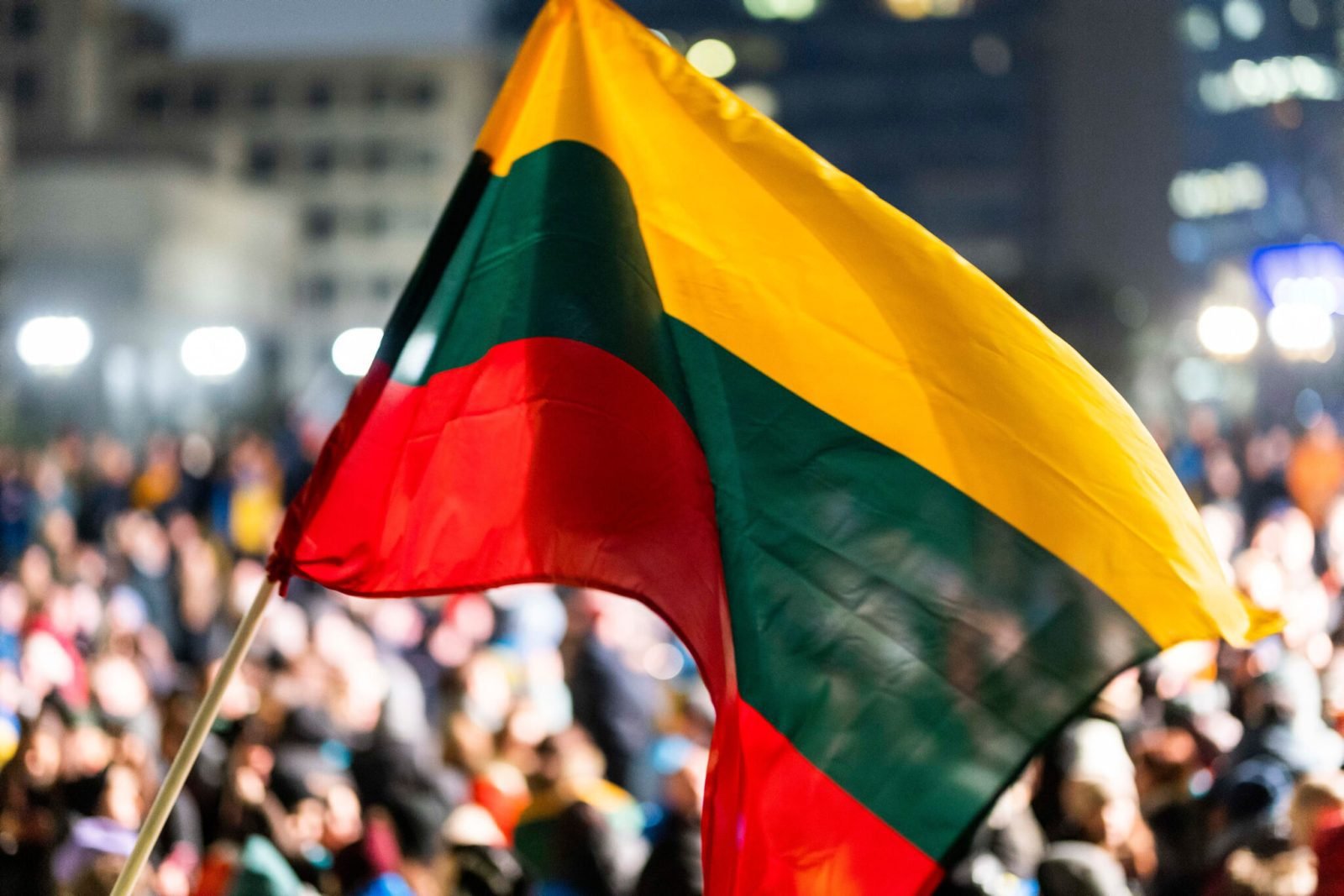 Lietuvos vėliava / BNS nuotr.
