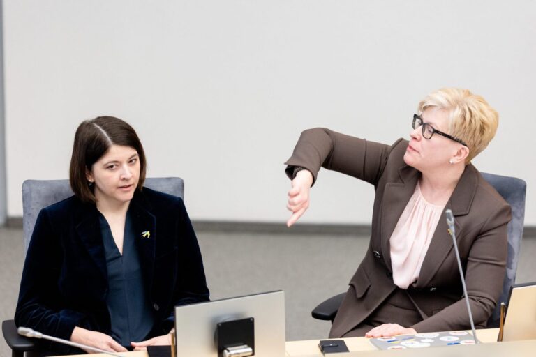 I. Šimonytė: parlamentinės lėšos turi būti pridėtos prie Seimo narių atlyginimo