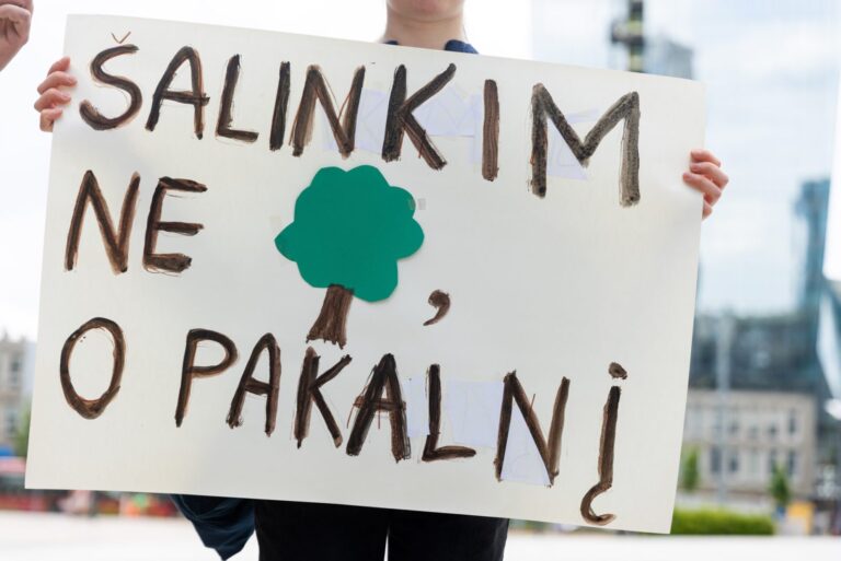 Ąžuolą Vilniaus centre nupjovusiai įmonei nesumokėjus baudos, AAD ketina kreiptis į teismą