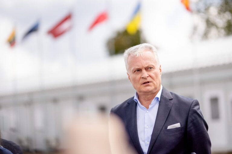 Prezidento reitinguose toliau pirmauja G. Nausėda, antras I. Vėgėlė