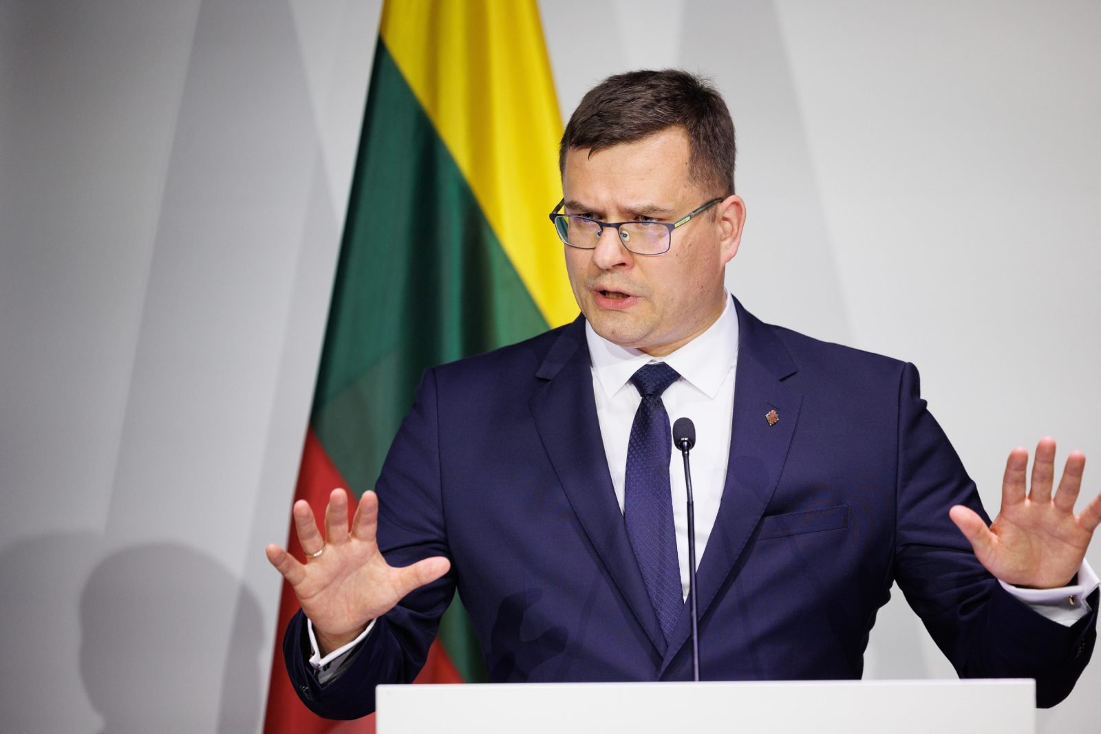 Laurynas Kasčiūnas sako / BNS nuotr.