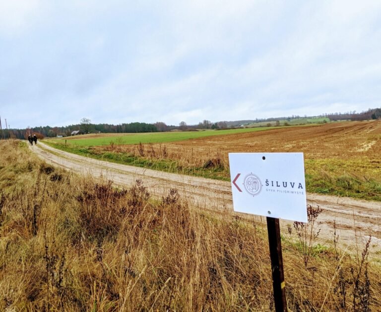 Gyvoji piligrimystė į Šiluvą – kelias šeimai ir vilčiai