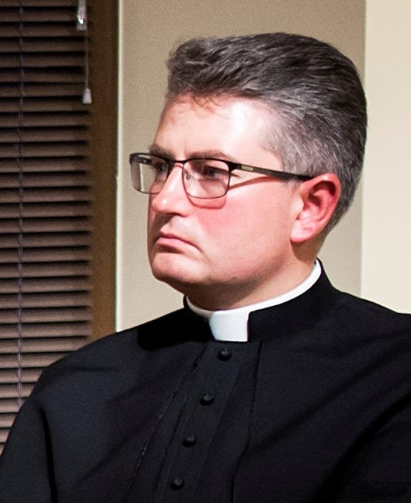 Kun. dr. Saulius Stumbra žiūri