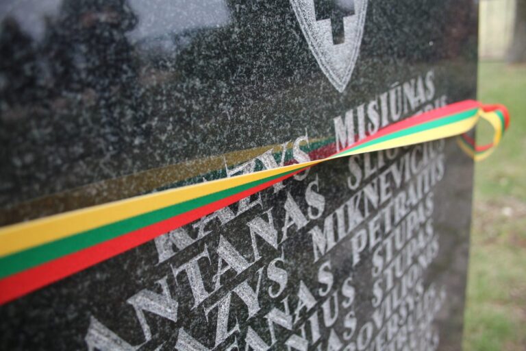 Minint Laisvės kovų deklaracijos metines Seimas ragina surasti visų partizanų palaikus