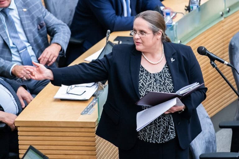 A. Širinskienė reagavo į V. Landsbergio pareiškimą: tai neapykantos žodžiai