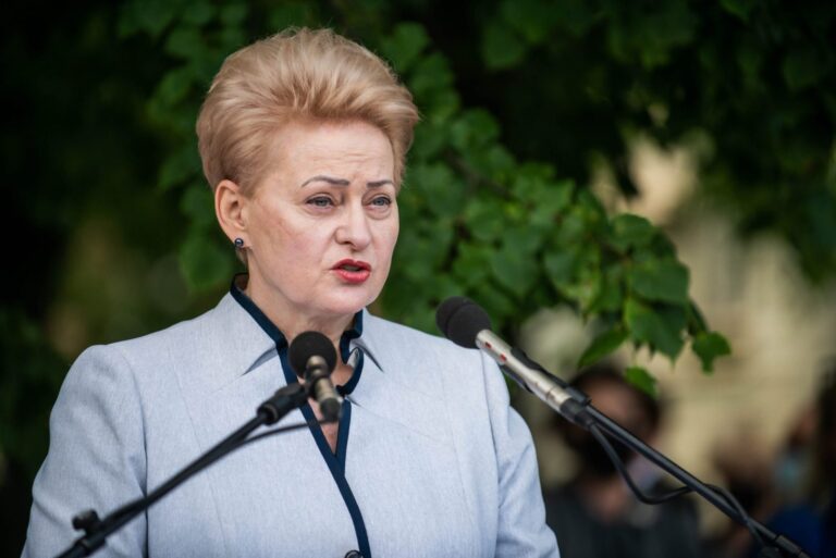 D. Grybauskaitė: mes mokėsime daugiau už energijos išteklius, bet tai yra laisvės ir nepriklausomybės kaina