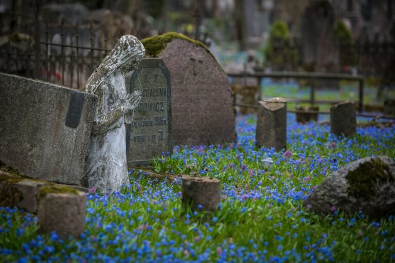 Gyventojai kviečiami išsakyti nuomonę apie naujus galimus laidojimo būdus