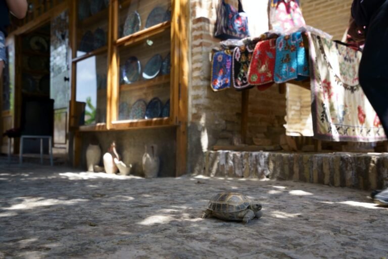 Uzbekistano saugumo pajėgos nutraukė baptistų velykines pamaldas