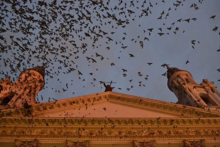 Mianmare apšaudyta katalikų katedra