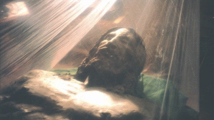 Turino drobulės atvaizdo rekonstrukcija