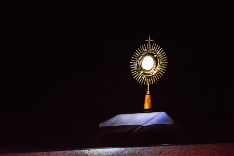 Br. Reno-Marija Desplankues CSJ. Gyvybės Duona