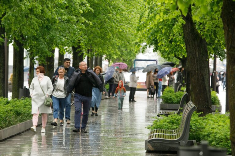 Kaune, Laisvės alėjoje bus kertamos 23 liepos