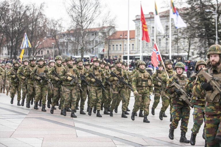 A. Anušauskas: reik besti pirštu į vietą, kur bus poligonas