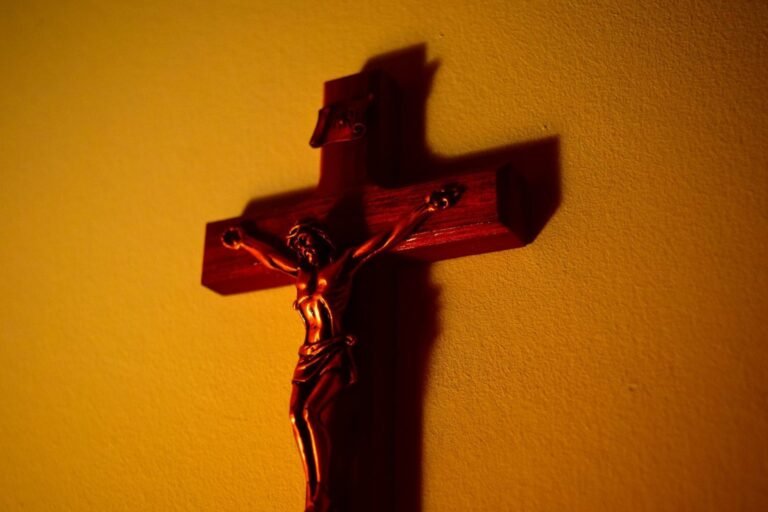 Kandidatės į KT pirmininkes D. Jočienės pažiūros antikrikščioniškos? Italija galėjo tuo įsitikinti