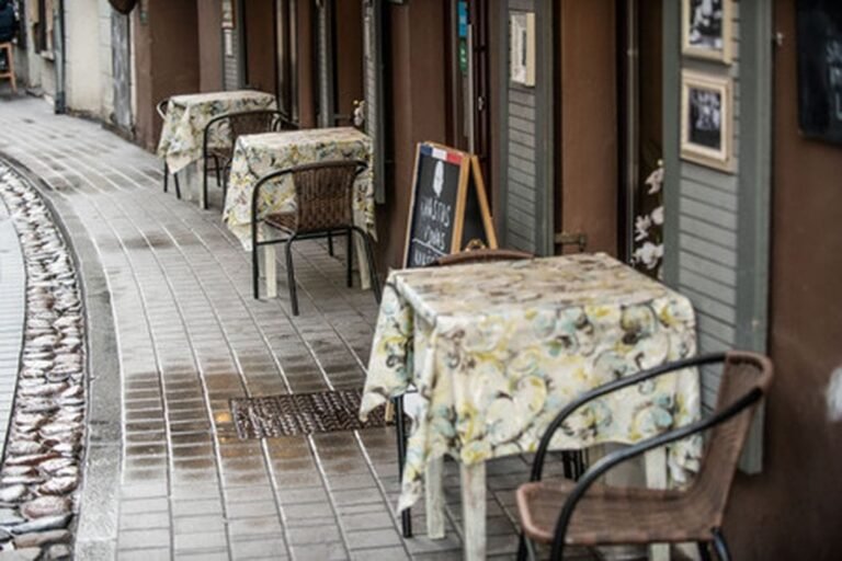 Ministrės patarėjas – galimybių pasas artimiausiomis savaitėmis, ekspertai abejoja