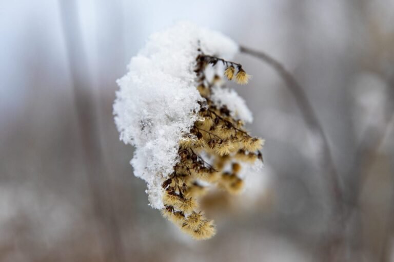 Svarbiausi kovo 19 – osios dienos įvykiai