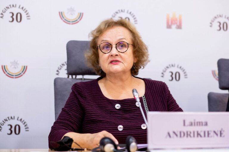 Užsienio politikoje buvo daugiau ambicijų arba noro atrodyti  svarbiems negu konstruktyvaus  darbo, sako L. L. Andrikienė