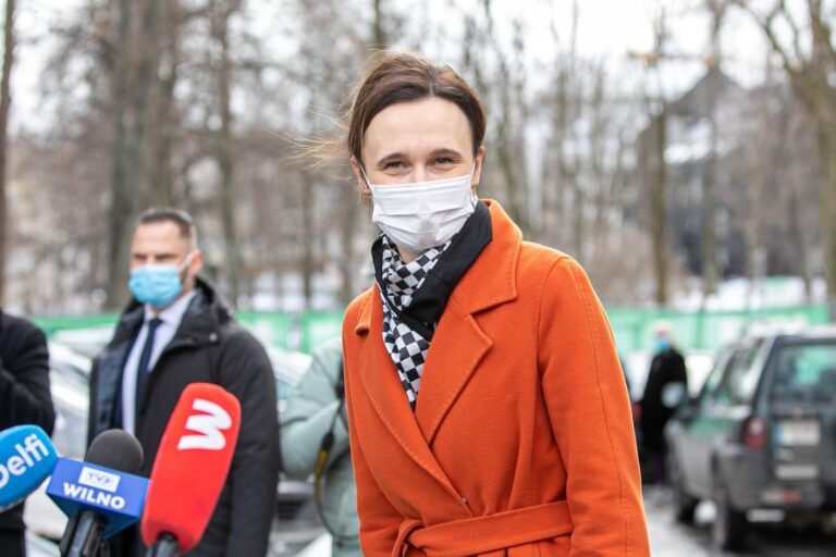 Seimo vadovė mano, kad ras kompromisą su prezidentu dėl partnerystės apibrėžimo