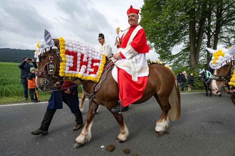 Kardinolas Gerhardas Ludwigas Mulleris / EPA nuotr.