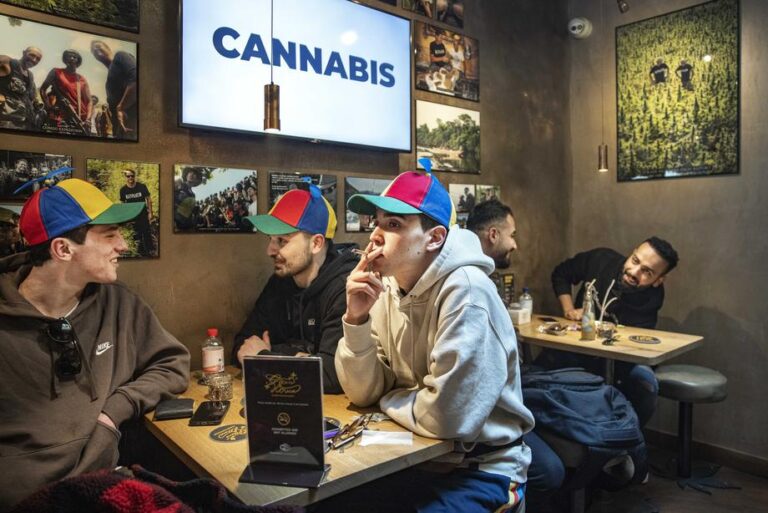 Seime stringa valdančiųjų bandymai legalizuoti kanapes
