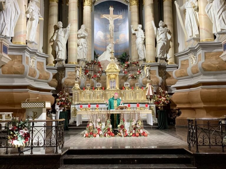 Sausio 14-ąją – malda už Caritą, maltiečius ir samariečius Kauno arkikatedroje bazilikoje