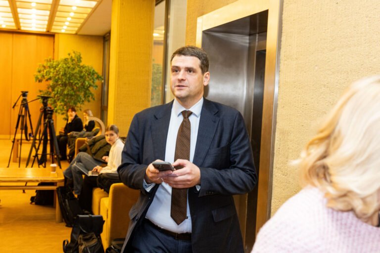 Remigijus Žemaitaitis: poligonų pakanka