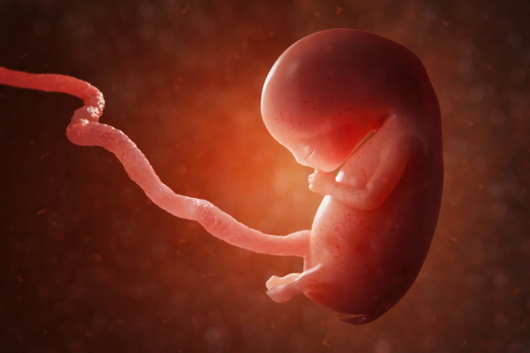 Erika Simniškytė. Kai vaikas tampa projektu: ką iš tiesų reiškia pagalbinis apvaisinimas vienišoms moterims?