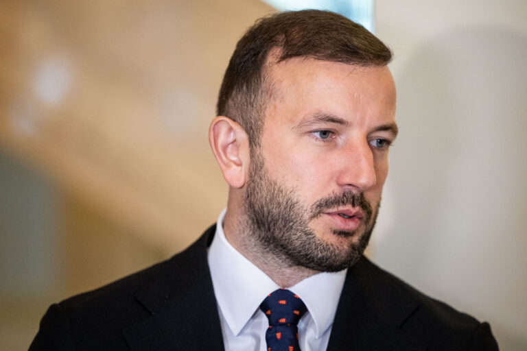 Demokratų sąjunga „Vardan Lietuvos“ paskelbė savo kandidatus į ministrus
