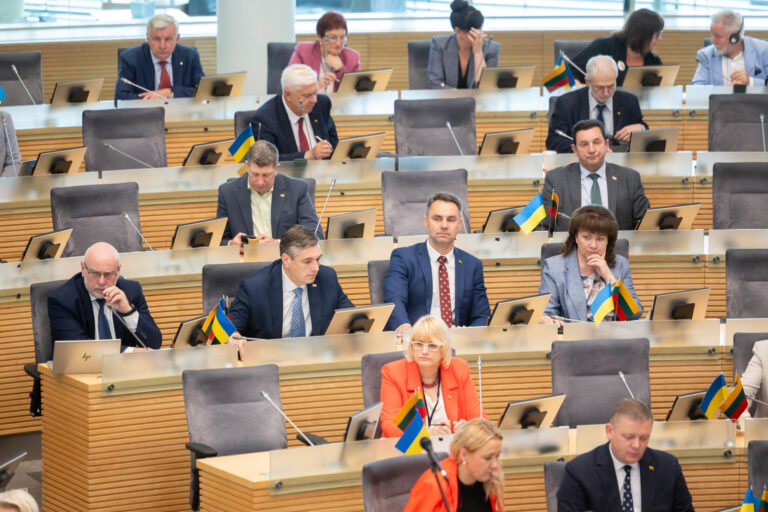 Seimas įsiklausė į argumentus: kol kas neratifikuos TDO konvencijos