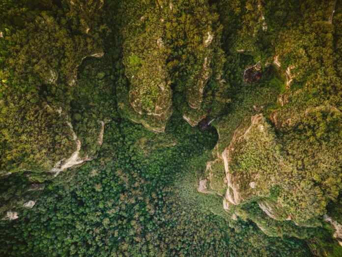 Leura, Australija / Asociatyvi Unsplash nuotr.
